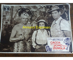 CACCIA ALL\'UOMO NELLA JUNGLA (1951) foto busta originale