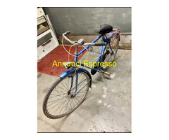 Bici Torpado anni 70 inoltre mountain bike Freyus