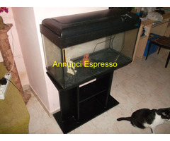 Acquario con supporto in legno