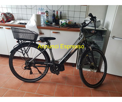 Bicicletta Bottecchia modello BE19