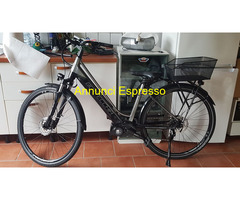 Bicicletta Bottecchia modello BE19