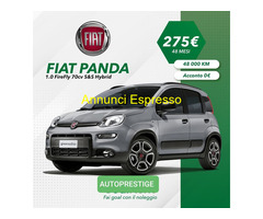 FIAT 500 1.0 70 cv Ibrido noleggio a lungo termite