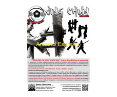 CorsoLEZIONI PRIVATE WING CHUN - STILE IP MAN