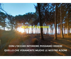 CorsoCORSO DI MEDITAZIONE/MINDFULNESS - MBSR