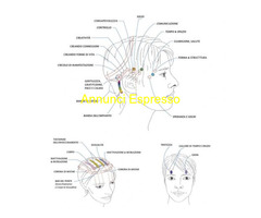 CorsoOperatore Bars di Access Consciousness