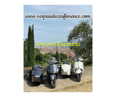 Vespa sidecar Tour in Florence (Firenze)