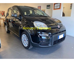 FIAT Panda 3ª serie 1.0 cc HYBRID MY2023  Berlina