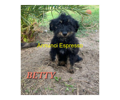 In regalo UNA MAMMA PER BETTY